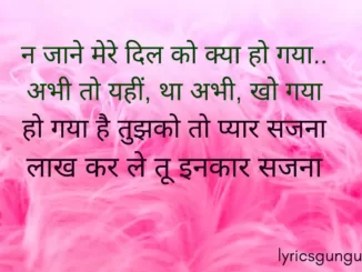 na jaane mer dil ko kya lyrics