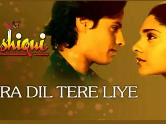 mera dil tere liye dhadakta hai lyrics