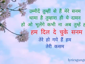 hum dil de chuke sanam lyrics