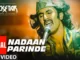nadaan parindey lyrics